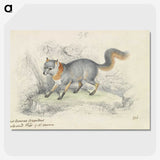 1-22_Charles-Hamilton-Smith_picture-crop