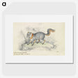 1-22_Charles-Hamilton-Smith_picture