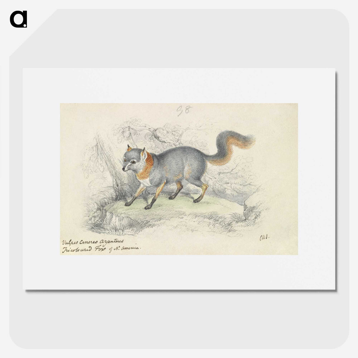 1-22_Charles-Hamilton-Smith_picture