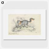 1-22_Charles-Hamilton-Smith_picture