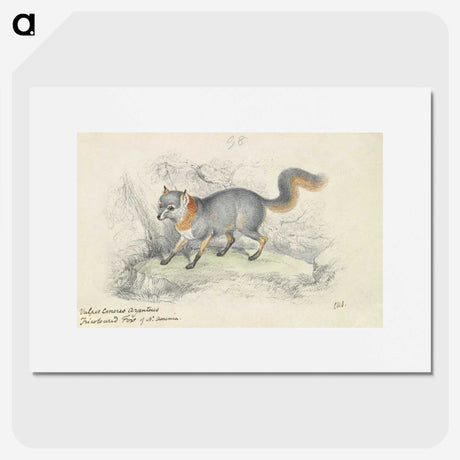 1-22_Charles-Hamilton-Smith_picture