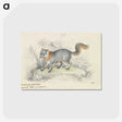 1-22_Charles-Hamilton-Smith_postcard
