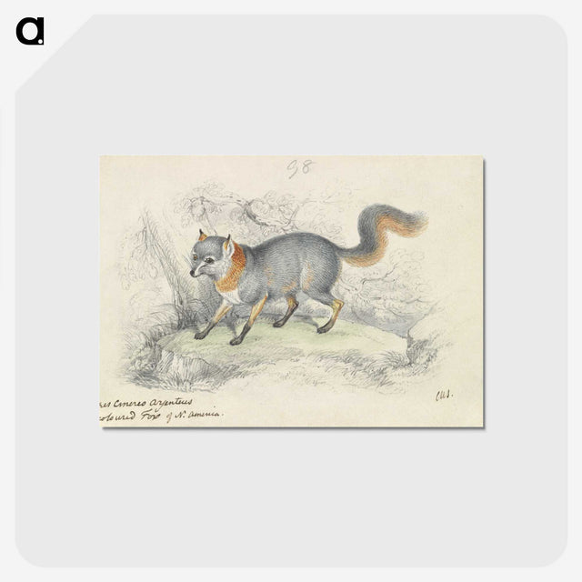 1-22_Charles-Hamilton-Smith_postcard