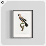 1-22_Des-Oiseaux-de-Paradis_blk