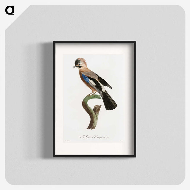 1-22_Des-Oiseaux-de-Paradis_blk