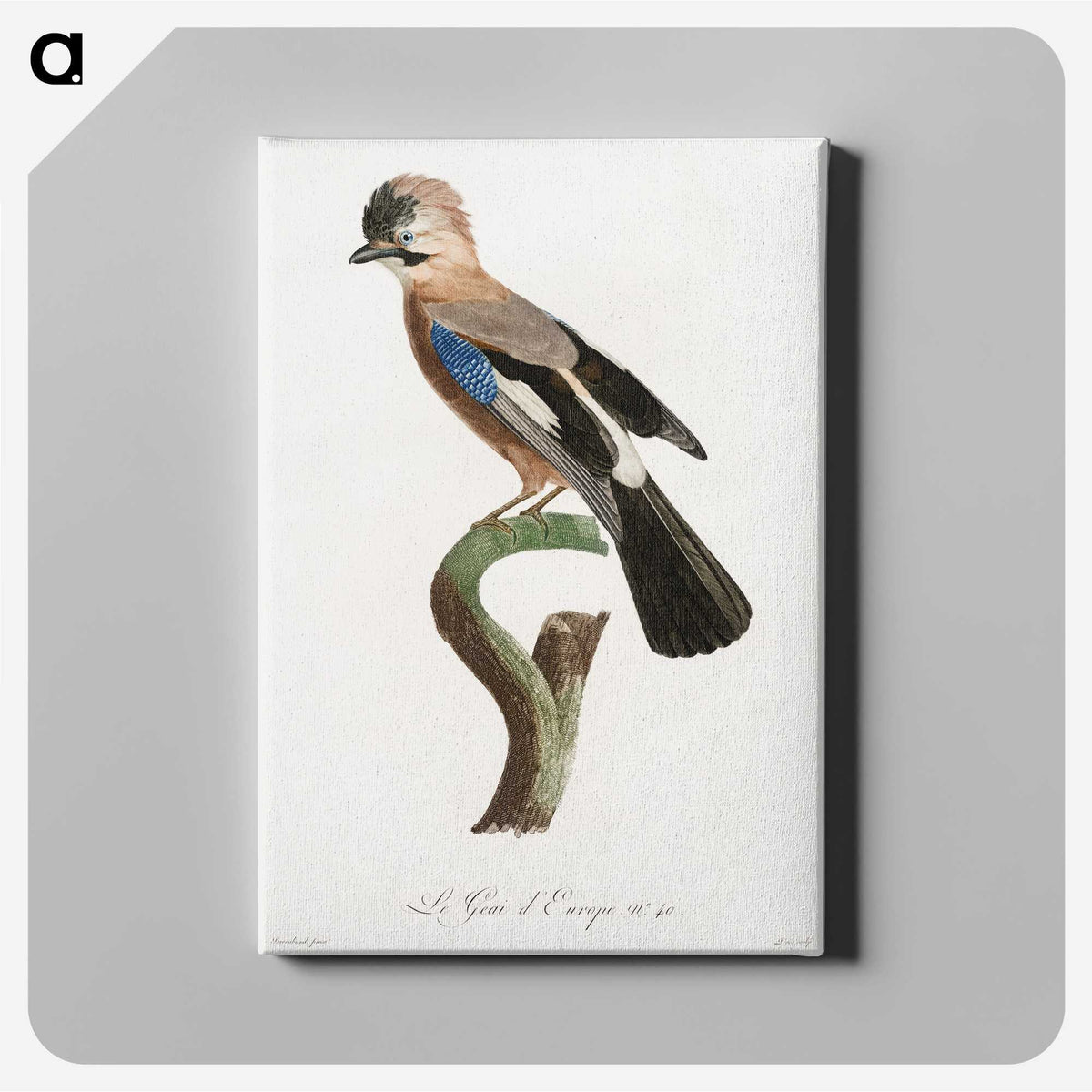1-22_Des-Oiseaux-de-Paradis_canvas