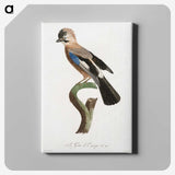 1-22_Des-Oiseaux-de-Paradis_canvas