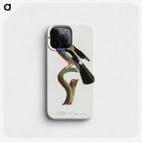 1-22_Des-Oiseaux-de-Paradis_phone