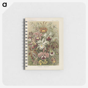 1-22_Ernst-Haeckel_memo