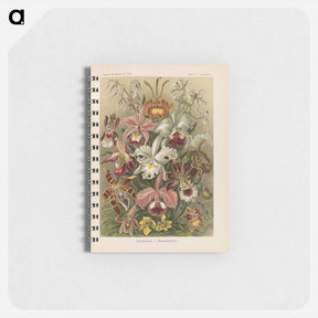 アートメモ帳-Flowers illustration from Kunstformen der Natur - エルンスト ヘッケル Memo.