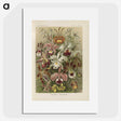 1-22_Ernst-Haeckel_picture