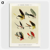 1-22_Favorite-Flies-and-Their-History_picture-crop