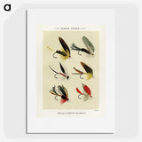 1-22_Favorite-Flies-and-Their-History_picture