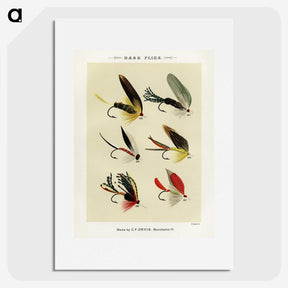 1-22_Favorite-Flies-and-Their-History_picture