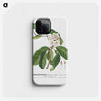 1-22_Georg-Dionysius-Ehret_phone
