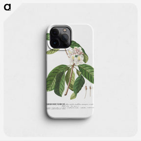 1-22_Georg-Dionysius-Ehret_phone