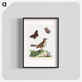アートポスター-The Lark and the Butterfly
 - ジョージ エドワーズ Poster.