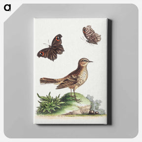 アートパネル-The Lark and the Butterfly
 - ジョージ エドワーズ Canvas.