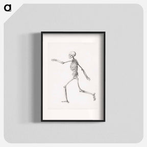 アートポスター-Human Figure, Lateral View
 - ジョージ スタッブス Poster.