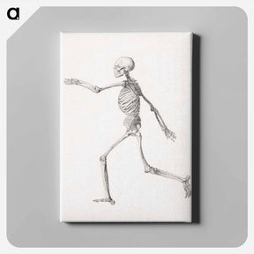 アートパネル-Human Figure, Lateral View
 - ジョージ スタッブス Canvas.