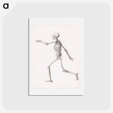 アートポストカード-Human Figure, Lateral View
 - ジョージ スタッブス Postcard.
