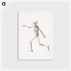 アートポストカード-Human Figure, Lateral View
 - ジョージ スタッブス Postcard.