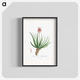 1-22_Histoire-des-Plantes-Grasses_blk
