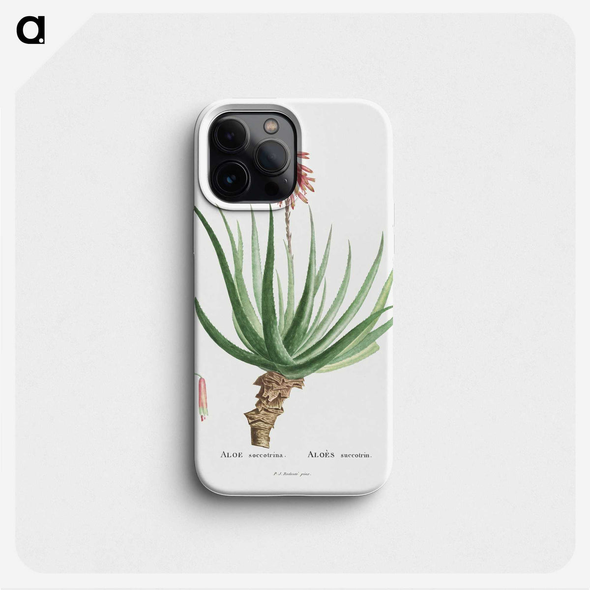 1-22_Histoire-des-Plantes-Grasses_phone