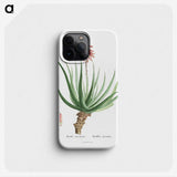 1-22_Histoire-des-Plantes-Grasses_phone