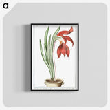 1-22_Hortus-Romanus-Botanical-Plates_blk-crop