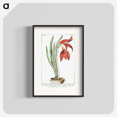 1-22_Hortus-Romanus-Botanical-Plates_blk