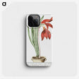 1-22_Hortus-Romanus-Botanical-Plates_phone