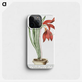 1-22_Hortus-Romanus-Botanical-Plates_phone