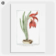 1-22_Hortus-Romanus-Botanical-Plates_picture