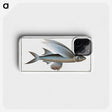 1-22_Ichtyologie-ou-Histoire-naturelle_phone