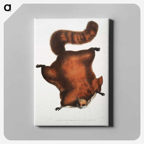1-22_Indian-Zoology_canvas