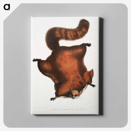 1-22_Indian-Zoology_canvas