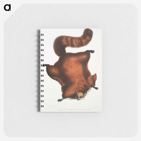 1-22_Indian-Zoology_memo
