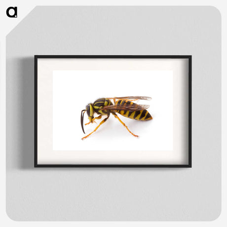 1-22_Insects-Unlocked-Project_blk