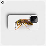 1-22_Insects-Unlocked-Project_phone
