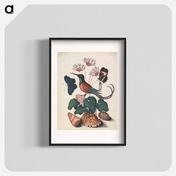 Crimson Topaz Hummingbird with Cyclamen and Butterflies
 - ジェームズ ボルトン Poster.