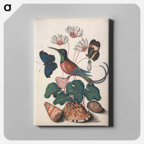 アートパネル-Crimson Topaz Hummingbird with Cyclamen and Butterflies
 - ジェームズ ボルトン Canvas.