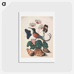 アートポストカード-Crimson Topaz Hummingbird with Cyclamen and Butterflies
 - ジェームズ ボルトン Postcard.