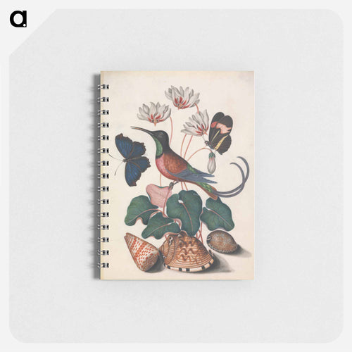 Crimson Topaz Hummingbird with Cyclamen and Butterflies
 - ジェームズ ボルトン Memo.