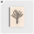 1-22_James-Heath_memo