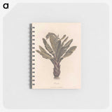 1-22_James-Heath_memo