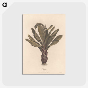 1-22_James-Heath_postcard