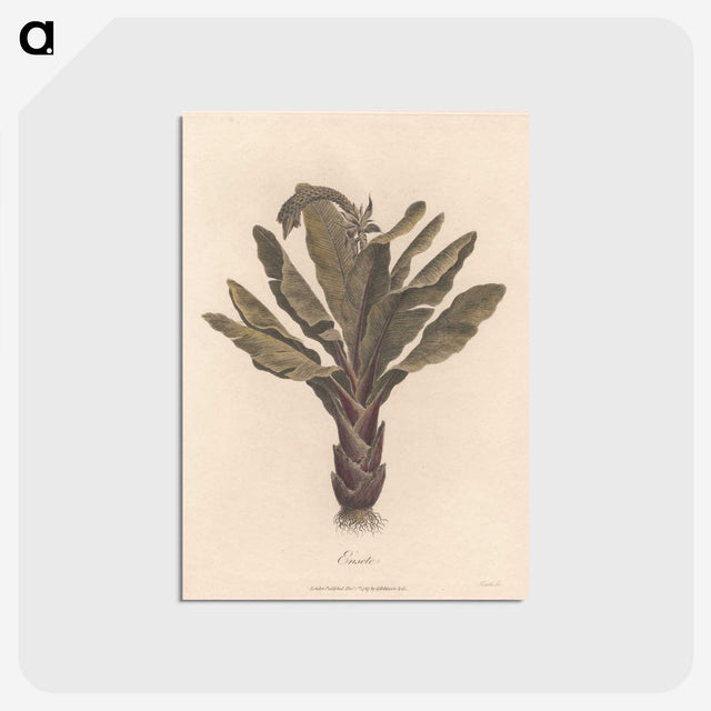 1-22_James-Heath_postcard