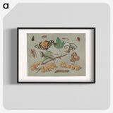 1-22_Jan-Van-Kessel_blk