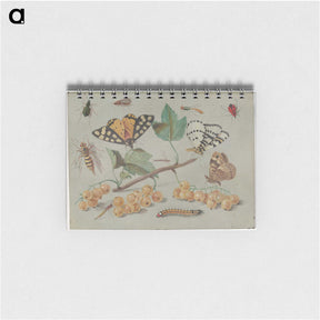 1-22_Jan-Van-Kessel_memo